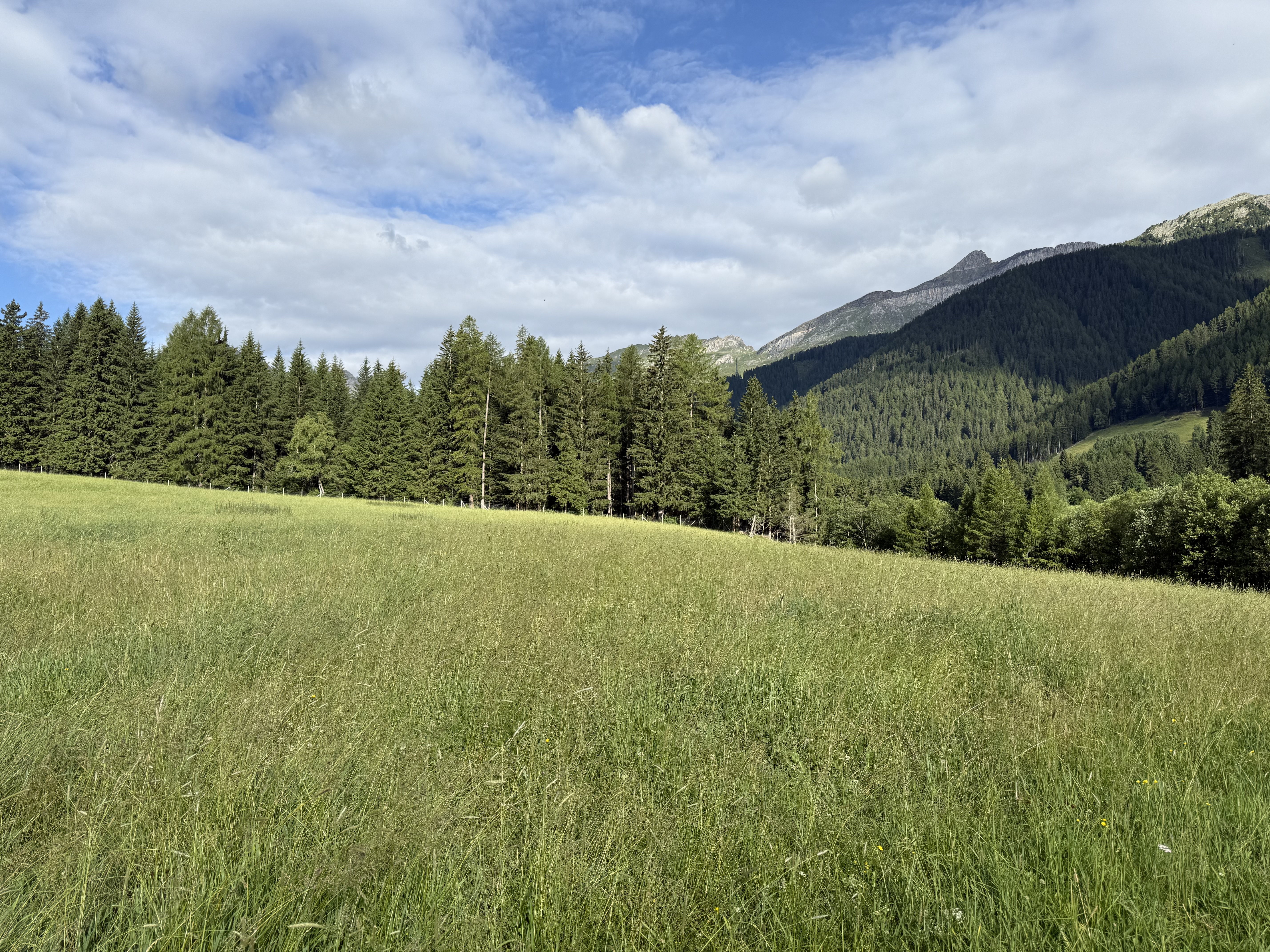 Feld Bild 3