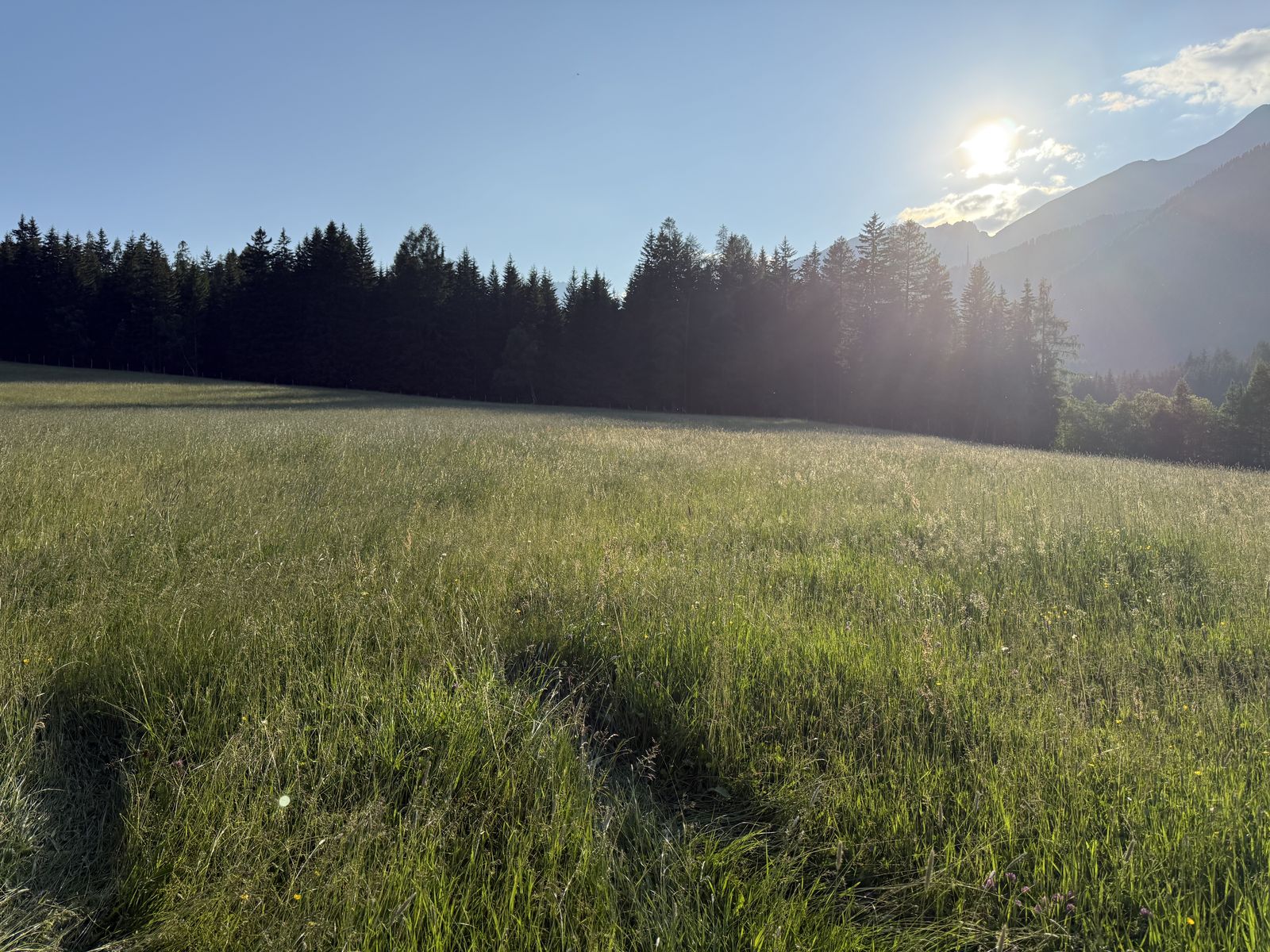Blick nach Südwesten über die Wiese